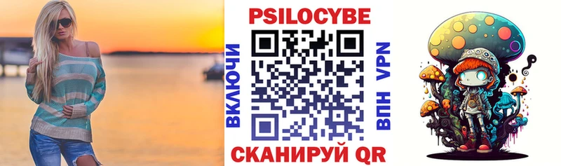 blacksprut рабочий сайт  Балей  Псилоцибиновые грибы Psilocybine cubensis 